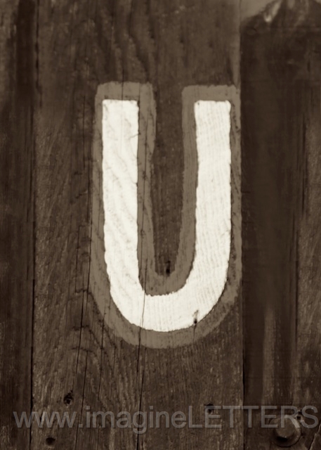 Wall_Art_Alphabet_Photography_Art_ 2267.jpg